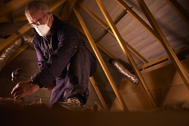 Best Cellulose Insulation in Vergennes, VT